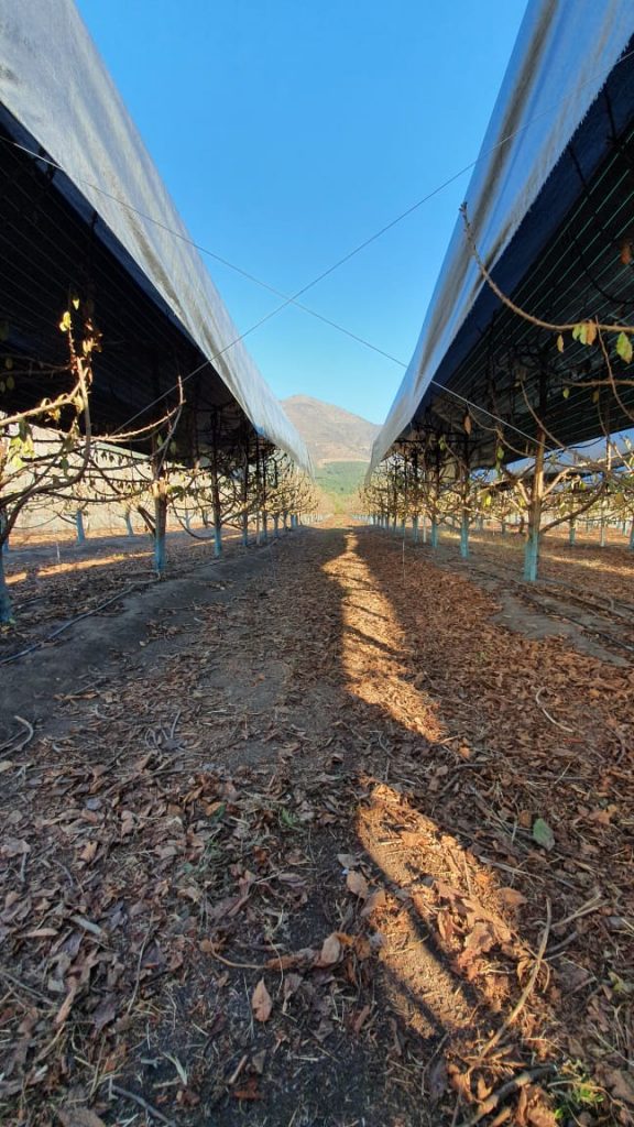 AGRICOOLER1-576x1024