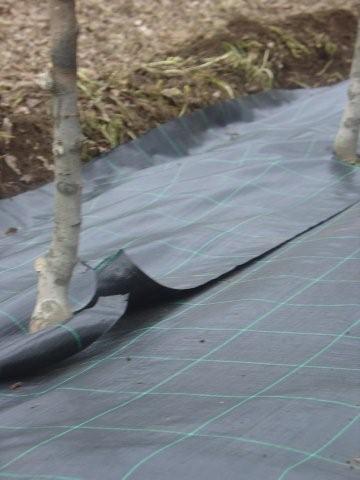 AGRISOIL-CS-N-100-solape