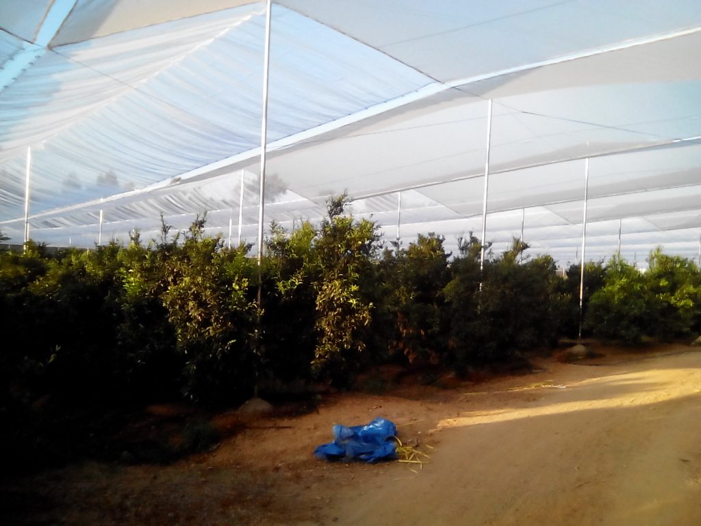 Agrisafe-CV-6x6-Móvil-2