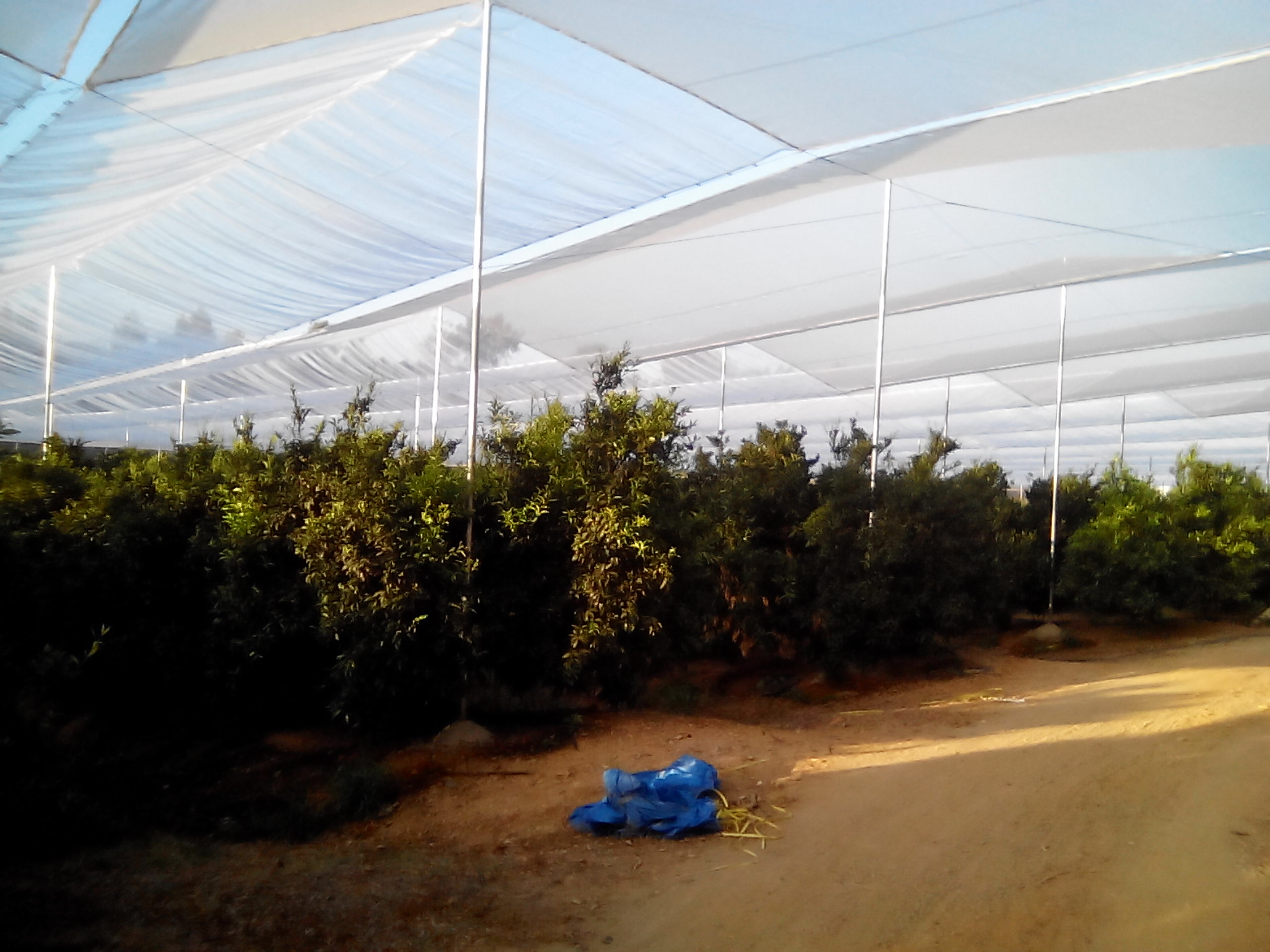 Agrisafe-CV-6x6-Móvil-2