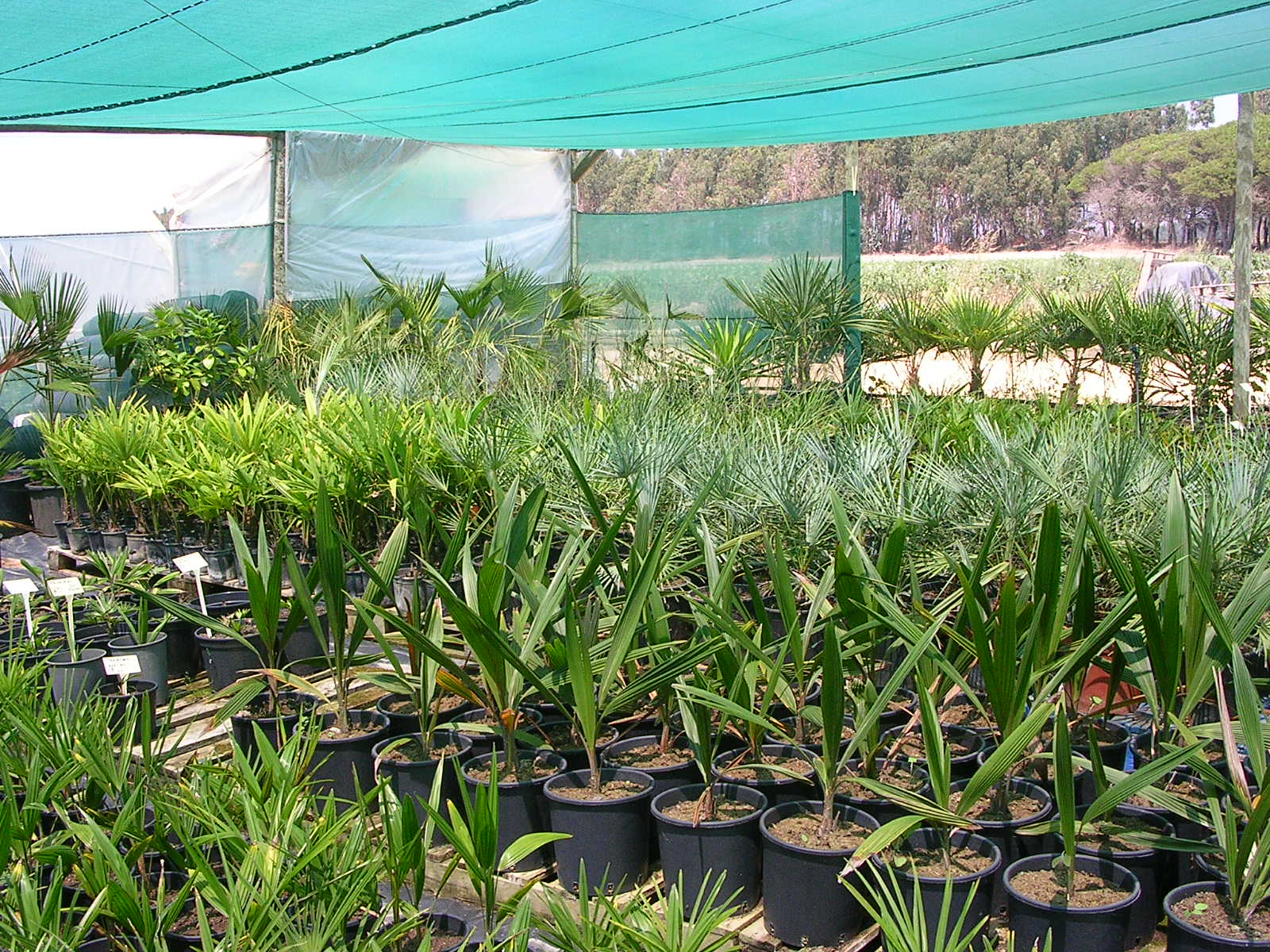 Agrishade-RR-80-Verde-Ornamentales