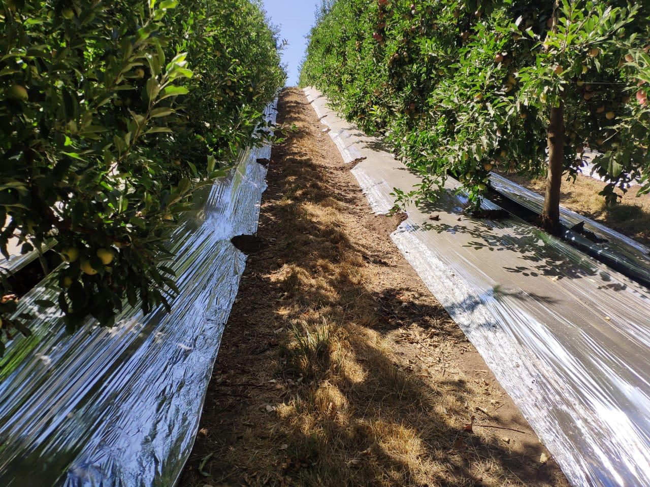 Agrisoil-Shiny-16.10