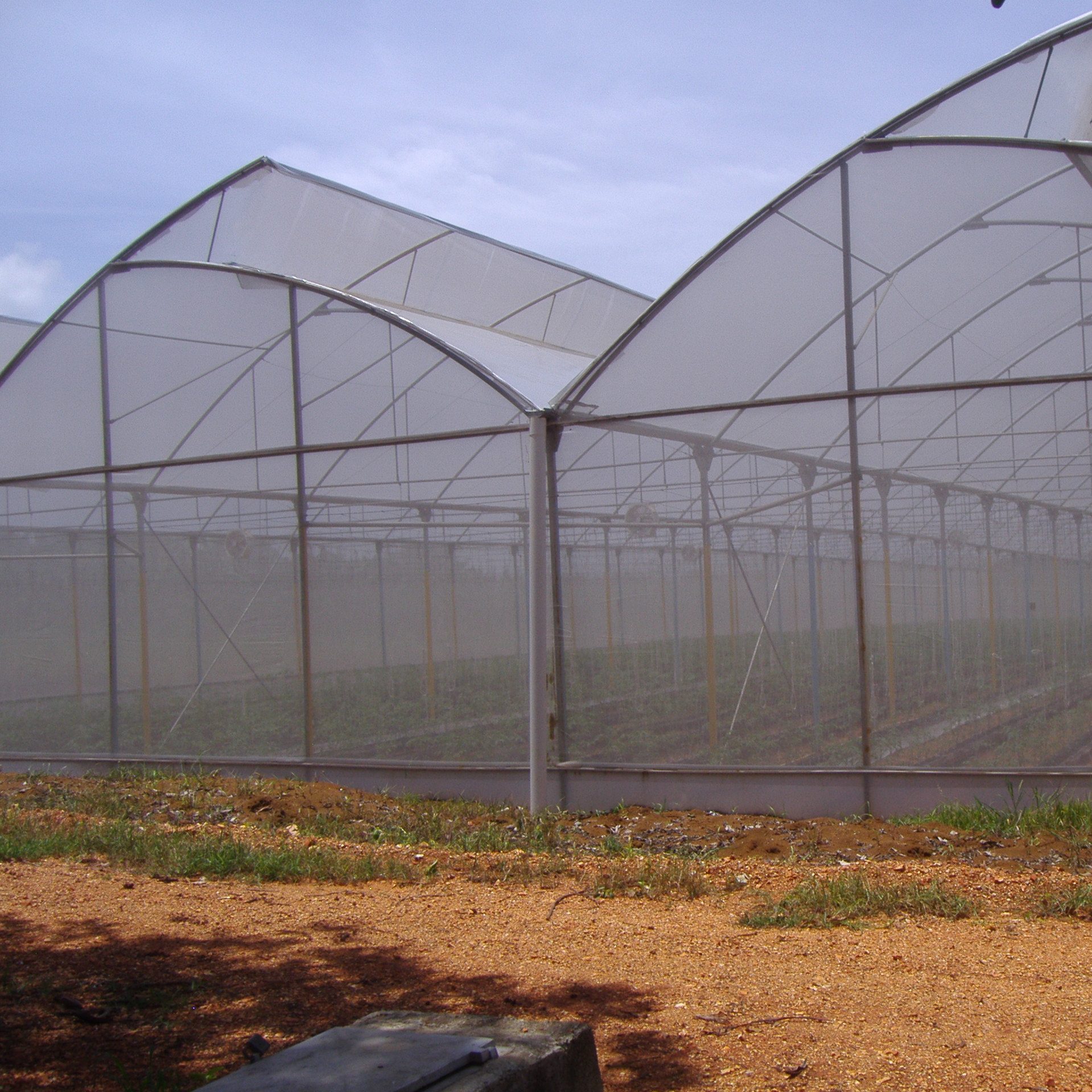 Agristop-AIN-40-mesh.16x10.-Pimientos.3