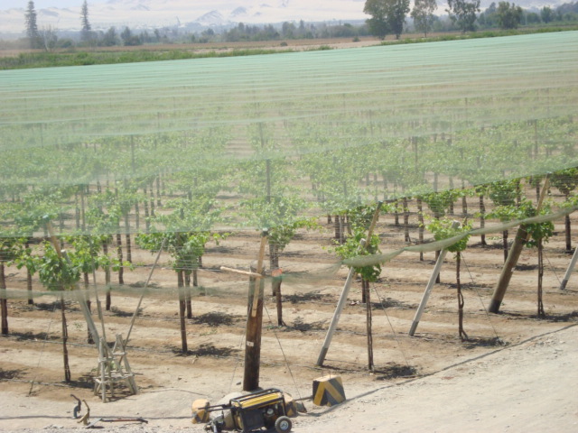 Agristop-MAP-MR-20x20-.1