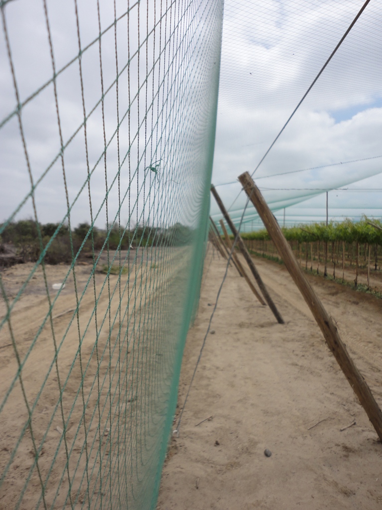 Agristop-MAP-MR-20x20-.2