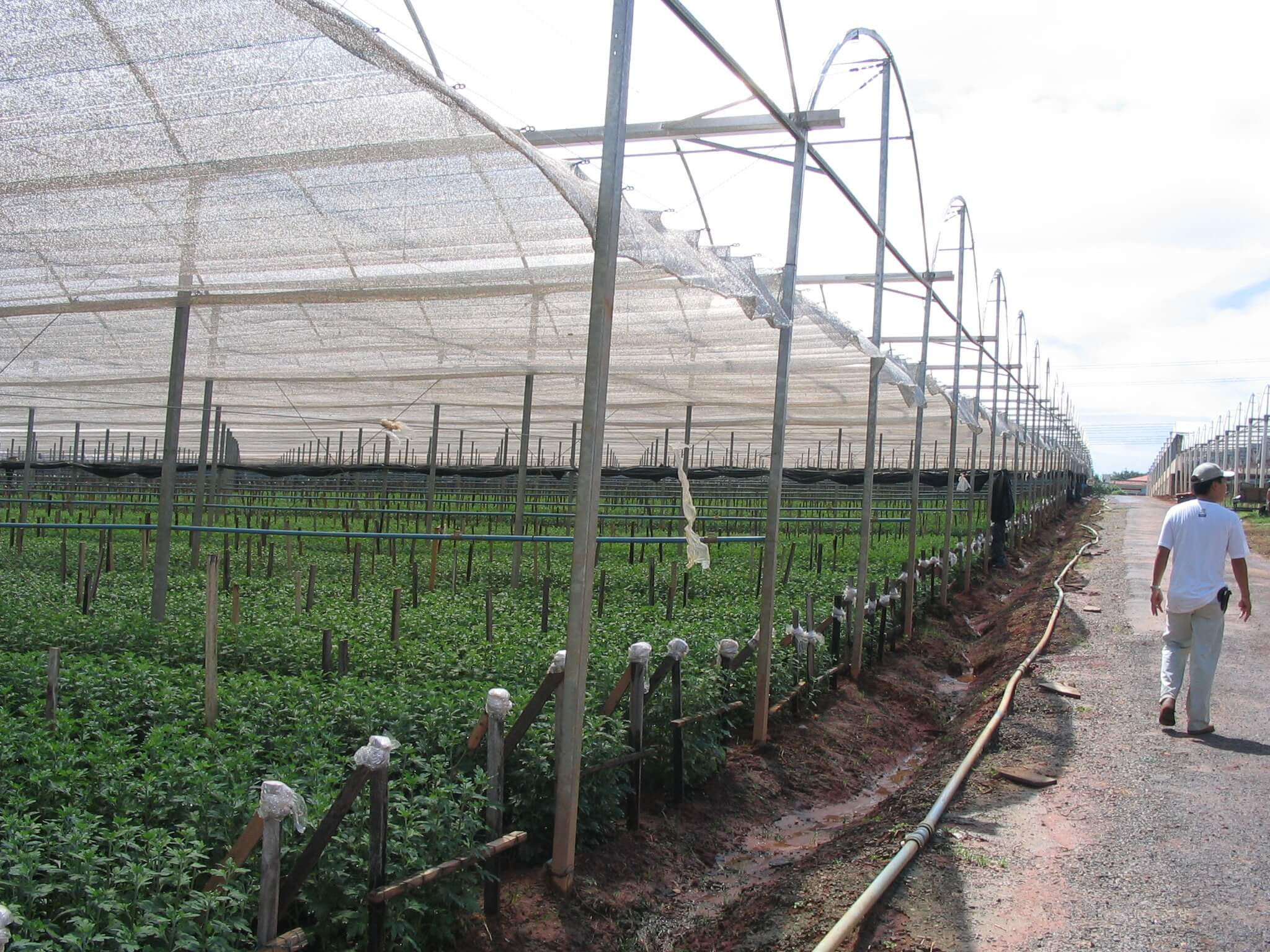 PONER-EN-PRODUCTOS-DESTACADOS-EN-AGRIFRESH