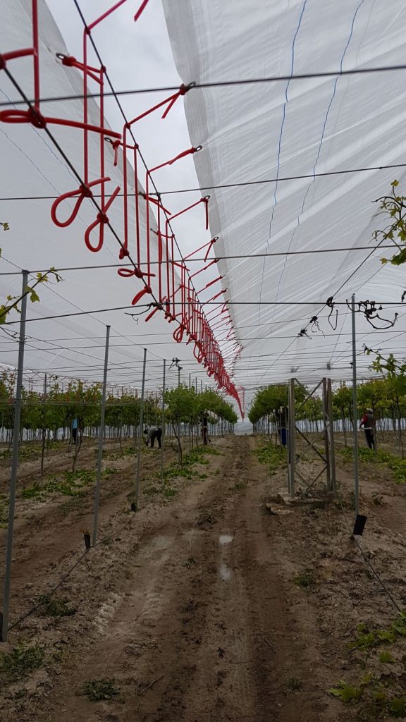 Para-cambiar-en-Agricover-U