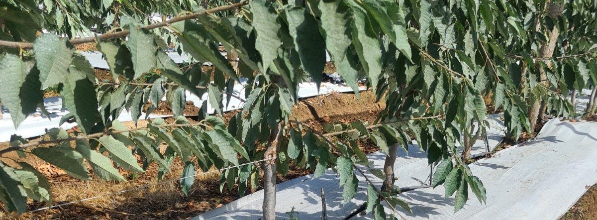 cropped-20210127_111931-1