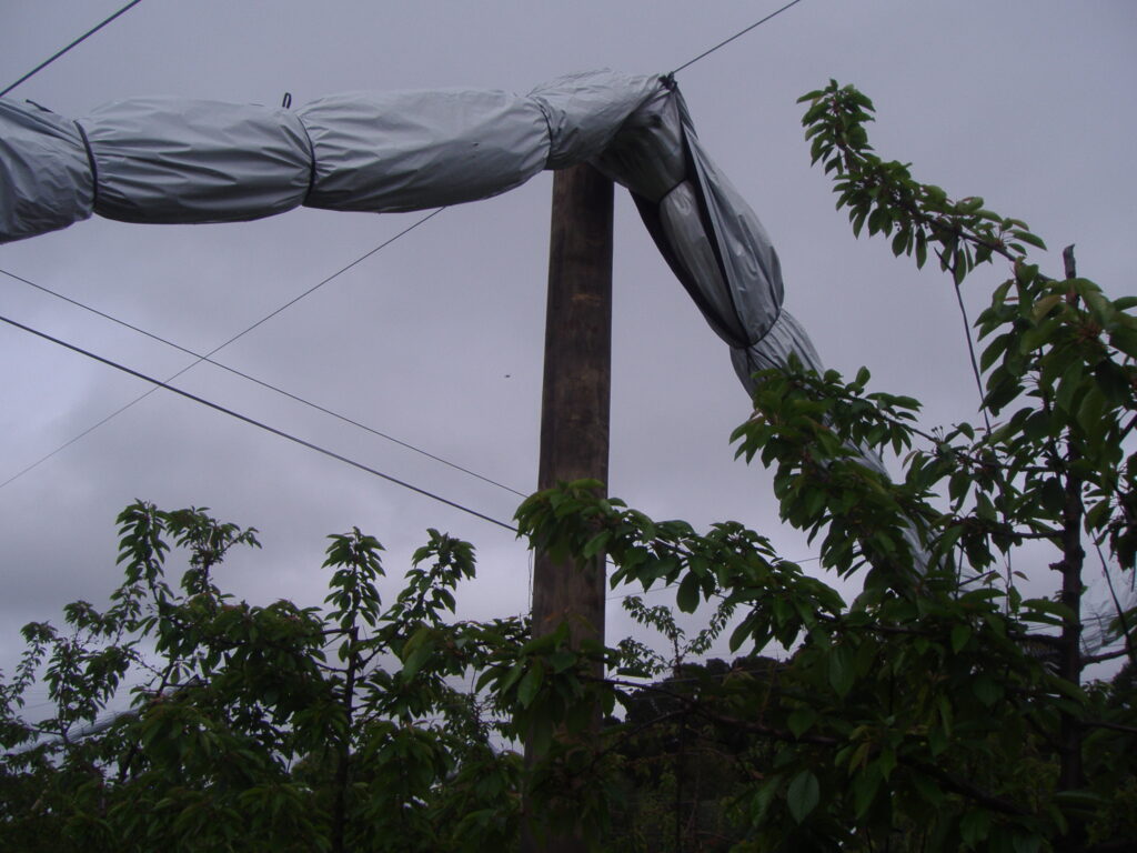 Agricover-PS1.jpg